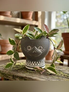 Cute Cat Planter Pot - 4" Gray and White Ceramic Kitten Succulent Pot